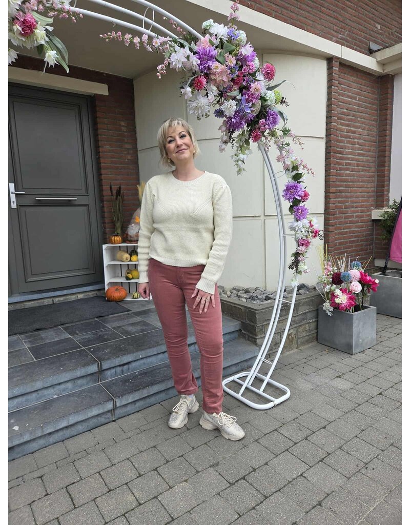 Toxik H2744-BROEK RIBFLUWEEL-ROZE