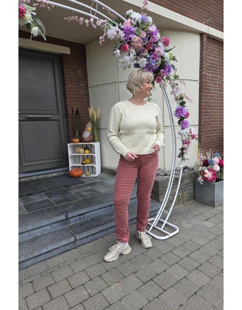 Toxik H2744-BROEK RIBFLUWEEL-ROZE