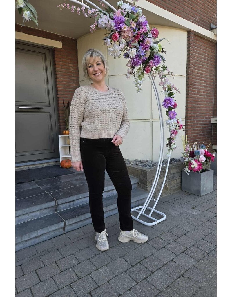Toxik H2744-BROEK RIBFLUWEEL-BRUIN