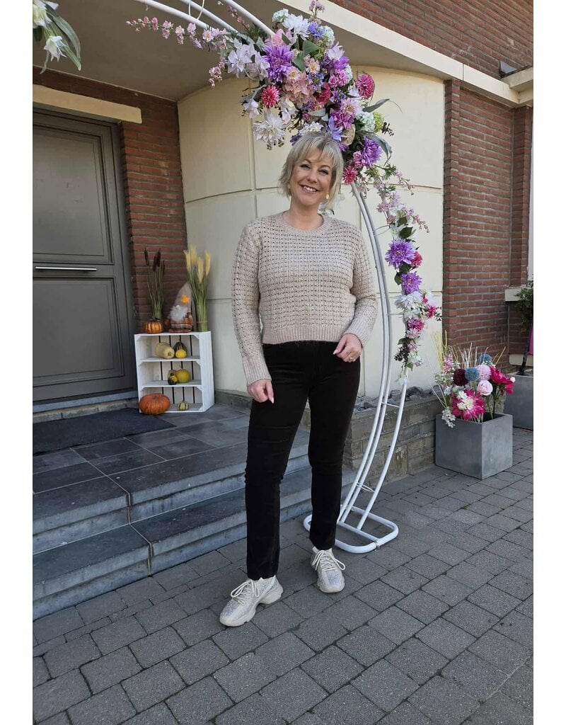 Toxik H2744-BROEK RIBFLUWEEL-BRUIN