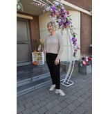 Toxik H2744-BROEK RIBFLUWEEL-BRUIN