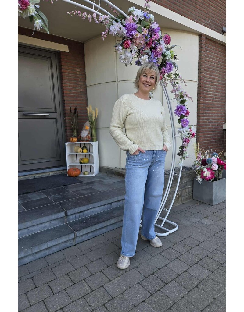 Toxik L21430-JEANS STRASS-BLAUW