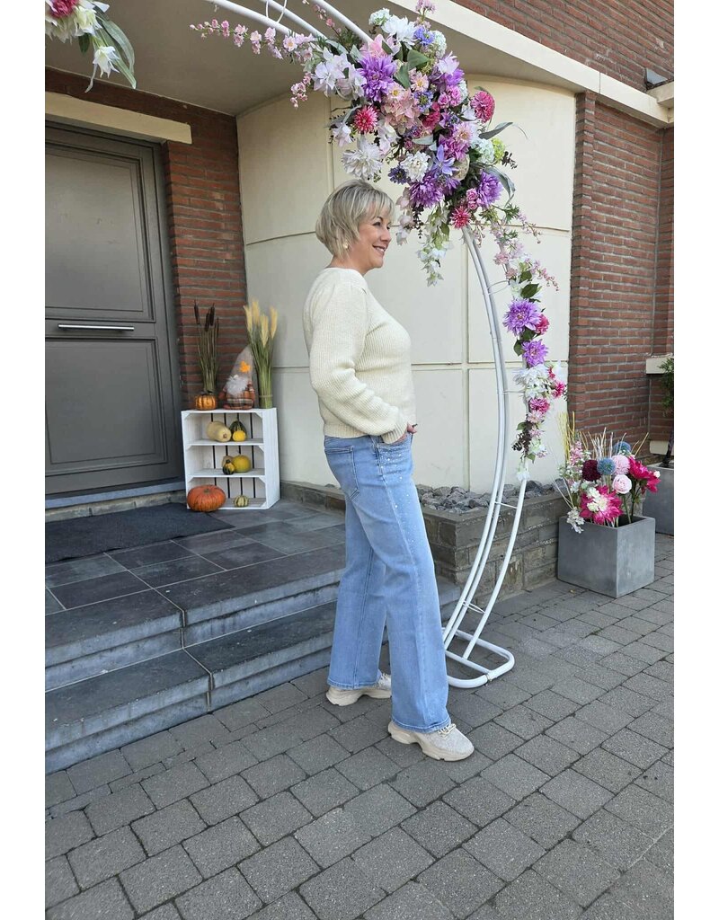 Toxik L21430-JEANS STRASS-BLAUW