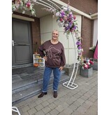 AMAGIA ELISA-SWEATER-CHOCO