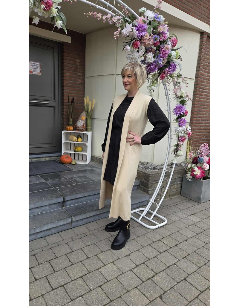 Smashed Lemon 25504-VEST-ECRU