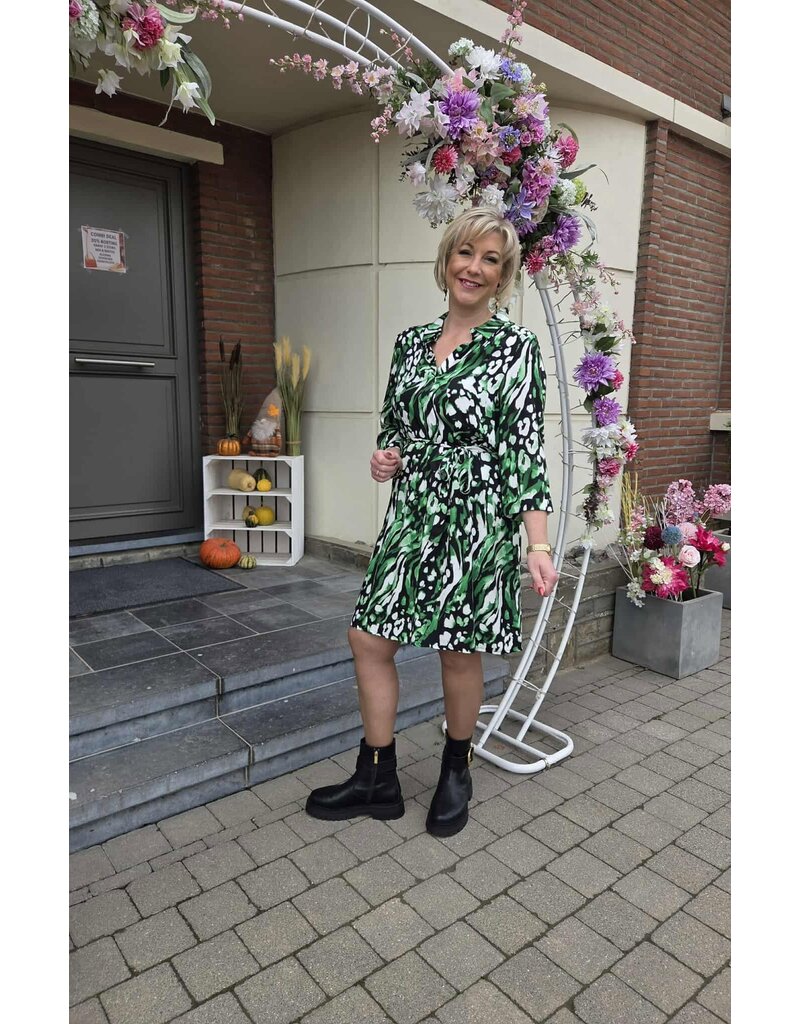 Smashed Lemon 25679-DRESS-GREEN MULTICOLOR