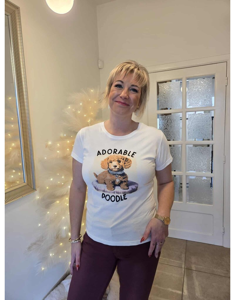 ARTIGLI ACTS003263-T-SHIRT STAMPA-PANNA