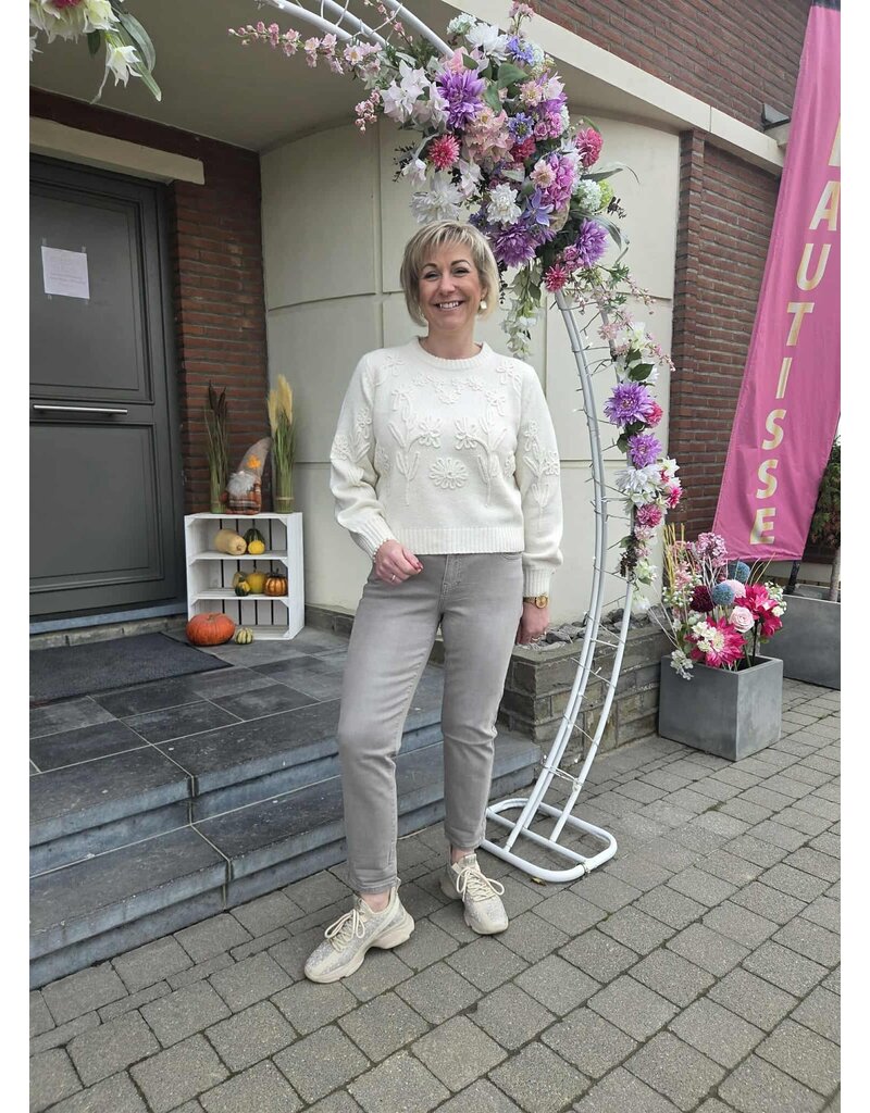 Toxik JEANS-BOYFRIEND-GRIJS