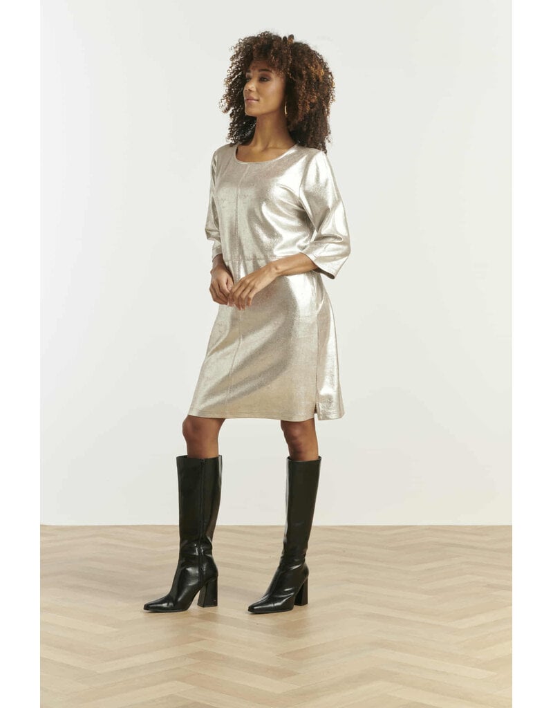 Smashed Lemon 25601-DRESS-SILVER
