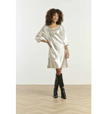 Smashed Lemon 25601-DRESS-SILVER