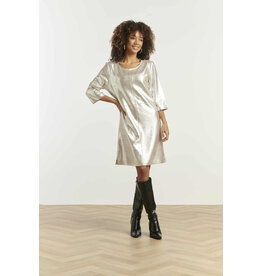 Smashed Lemon 25601-DRESS-SILVER