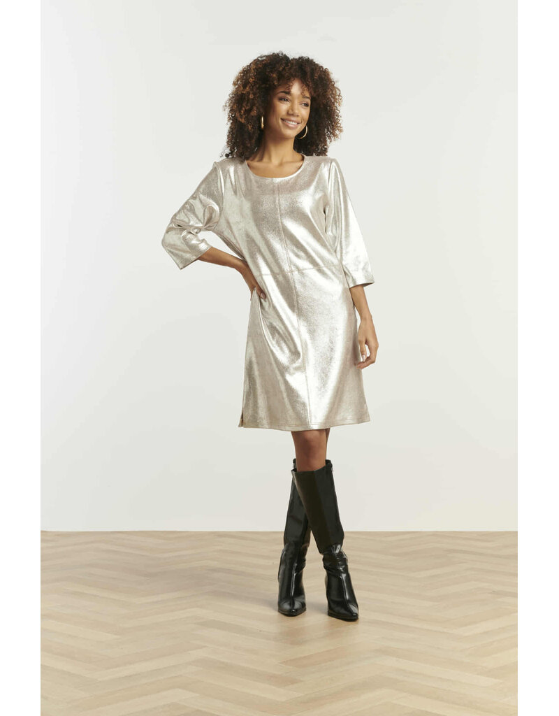 Smashed Lemon 25601-DRESS-SILVER
