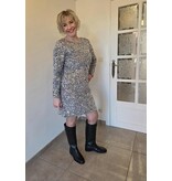 Smashed Lemon 25783-DRESS-SILVER