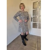 Smashed Lemon 25783-DRESS-SILVER