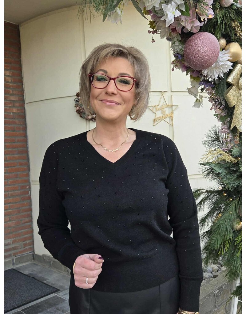 Green Ice APULIE-PULL-ZWART