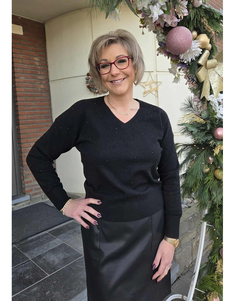 Green Ice APULIE-PULL-ZWART