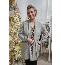 CISO 17991 CARDIGAN GREY MELANGE