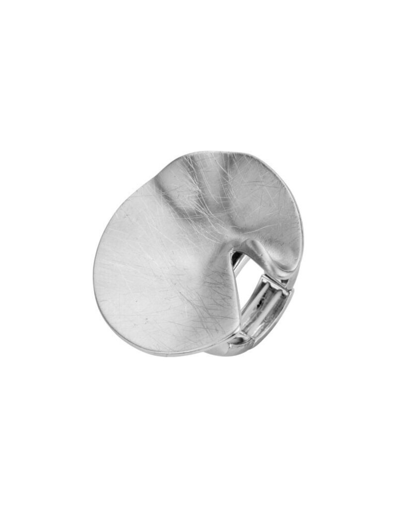 Les Cordes RING-BRI1-ZILVER MAT