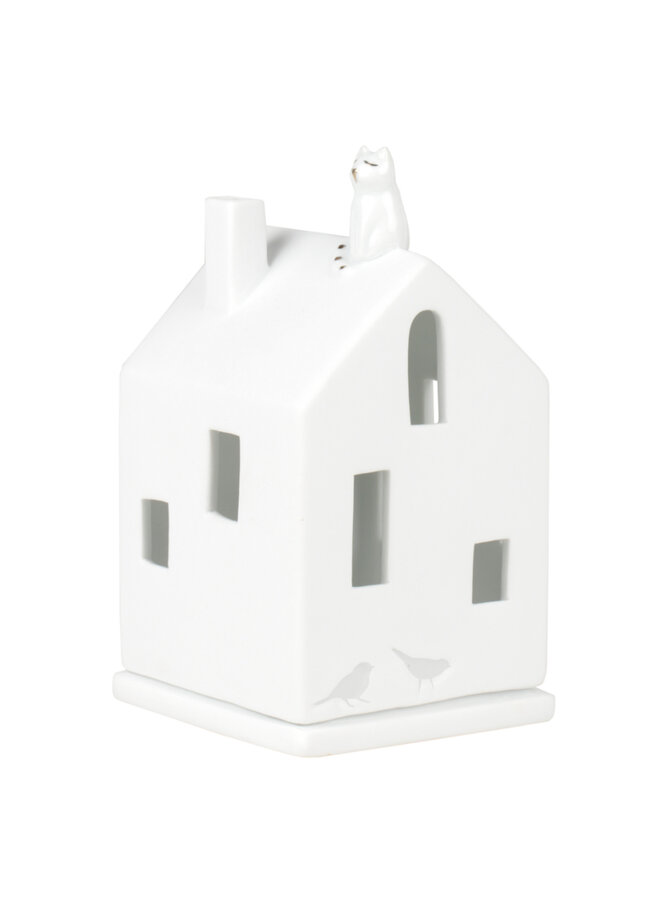 Light house cat