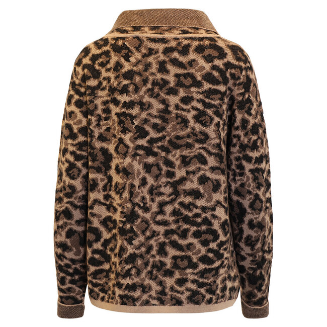 Pull Signature leopard 219175