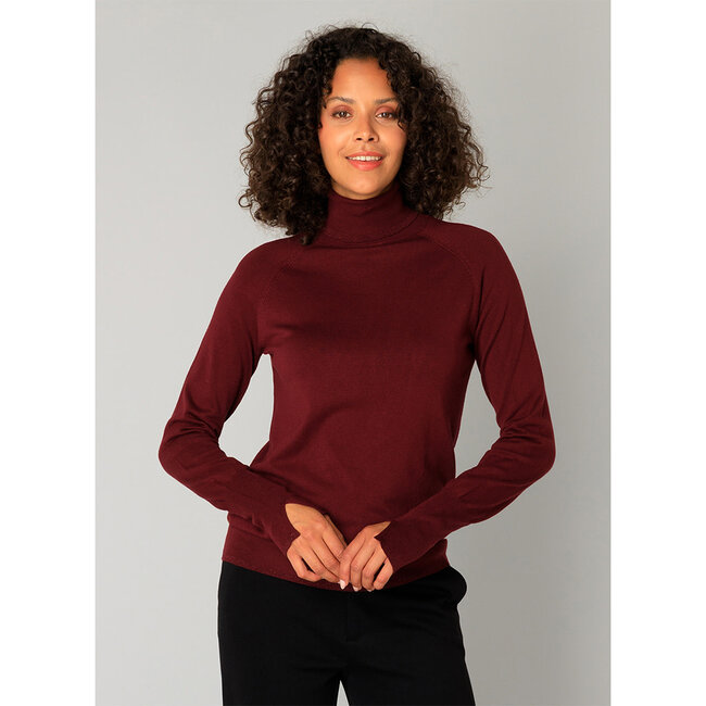 Pull rolkraag Yest bordeaux Ojasvini 0005822