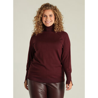 Yest Curve Pull rolkraag Yest Curve bordeaux Selki A005822