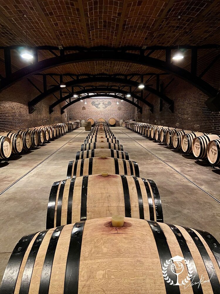 Tenuta Mazzolino Provincia di Pavia Pinot Nero "Terrazze Alte" - IGT