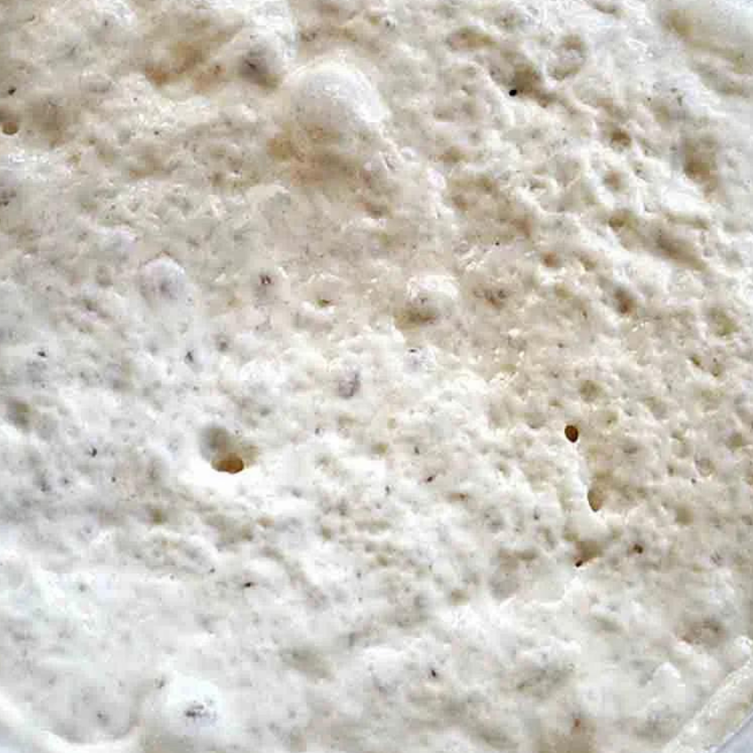 Pizzadeeg: Indirecte methode biga