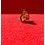 JYG L'utilisation d'un tapis rouge de 2 mètres pour une fête peut ajouter une touche de glamour et d'élégance à l'événement.