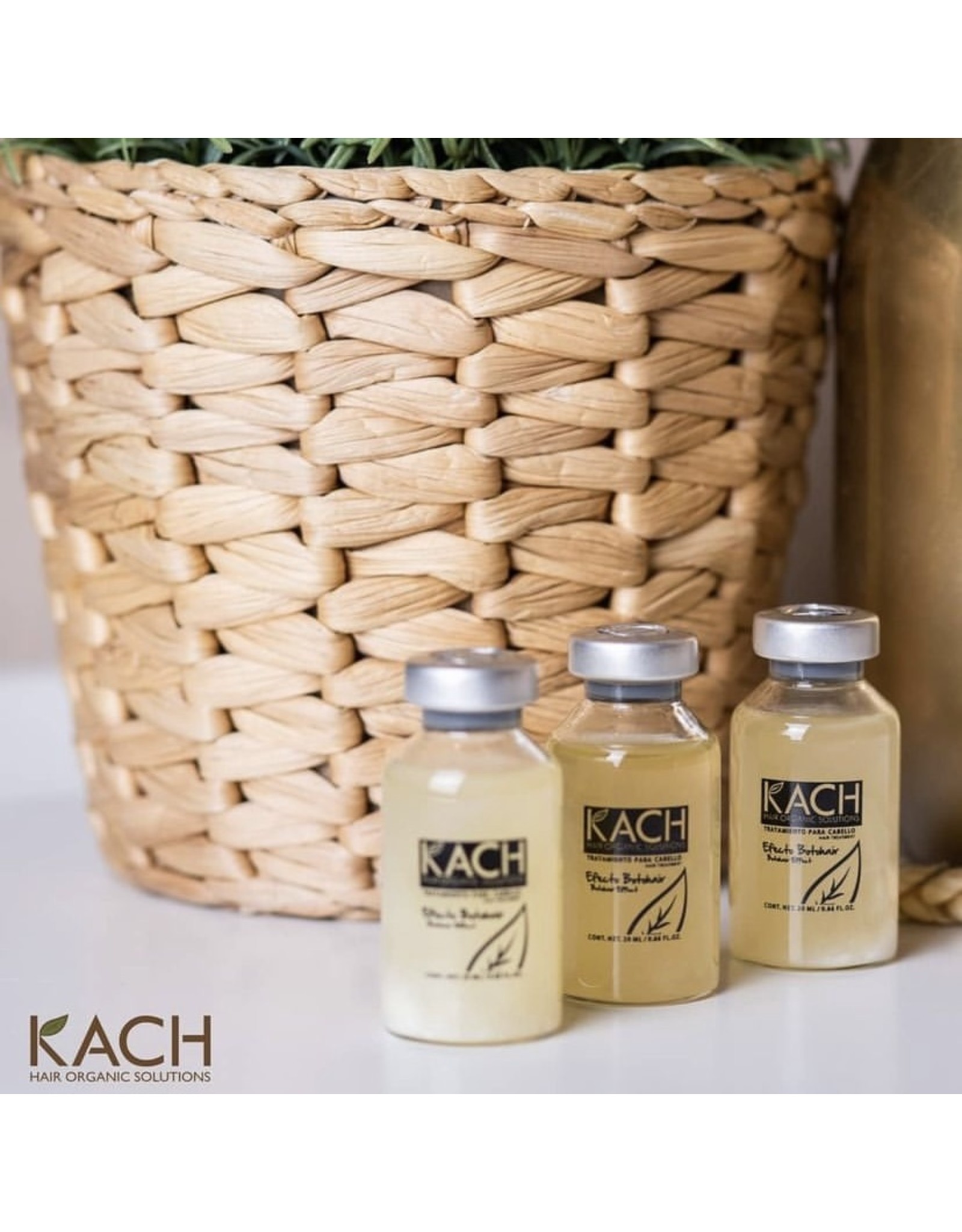 KACH Hair Organic Solutions BotoHair