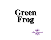 Green Frog