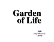 Garden of Life