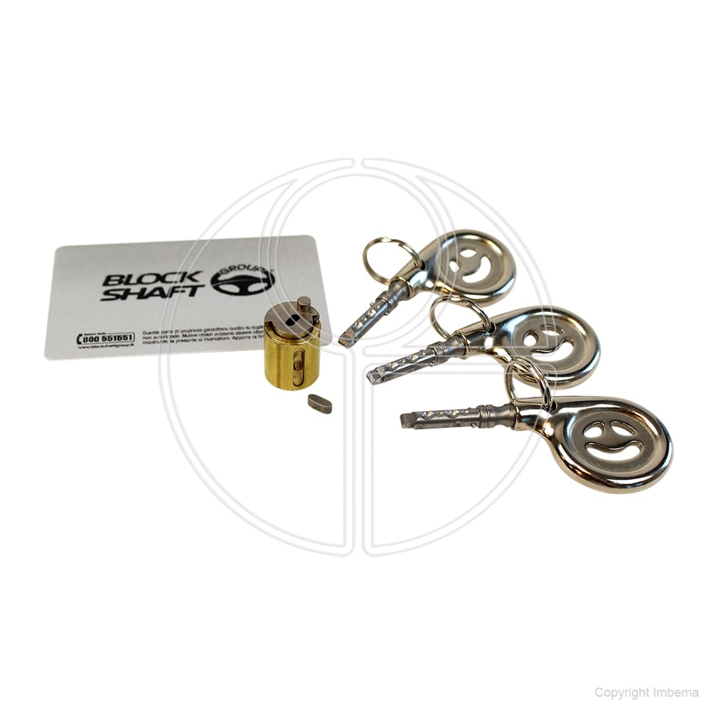 Bestelwagen slot Gatelock Van Medium Courier - SLAMLOCK 1x