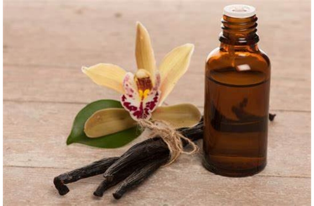 Arifoglu vanilya yagi 20ml