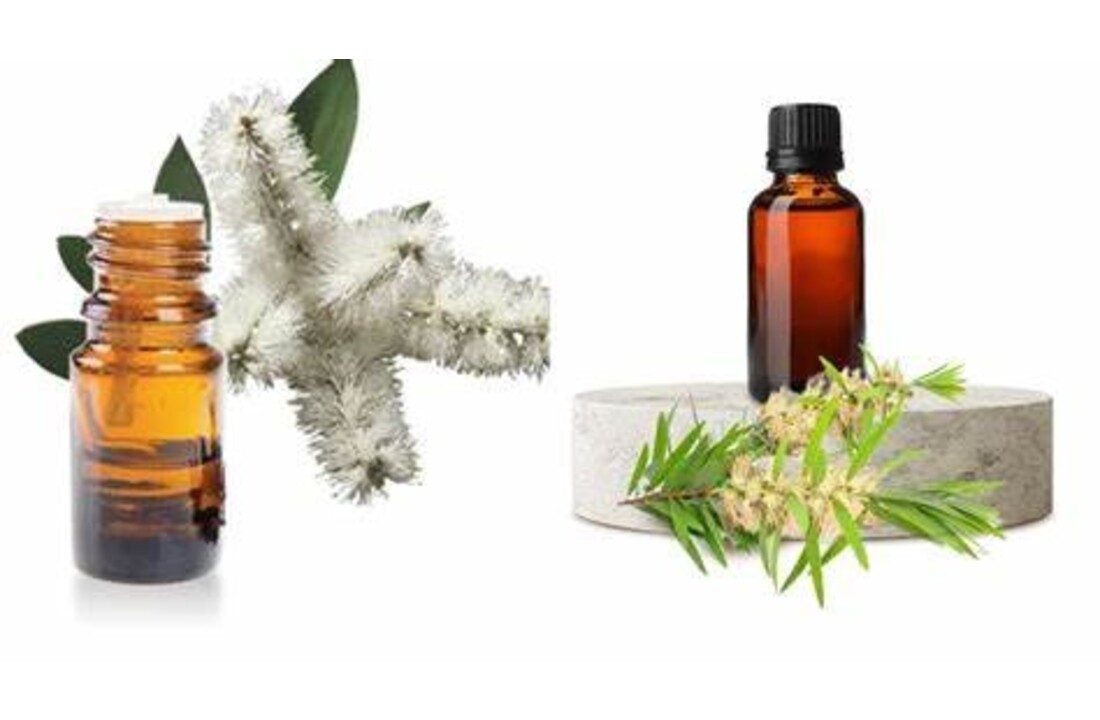 Arifoglu nioli yagi 20ml