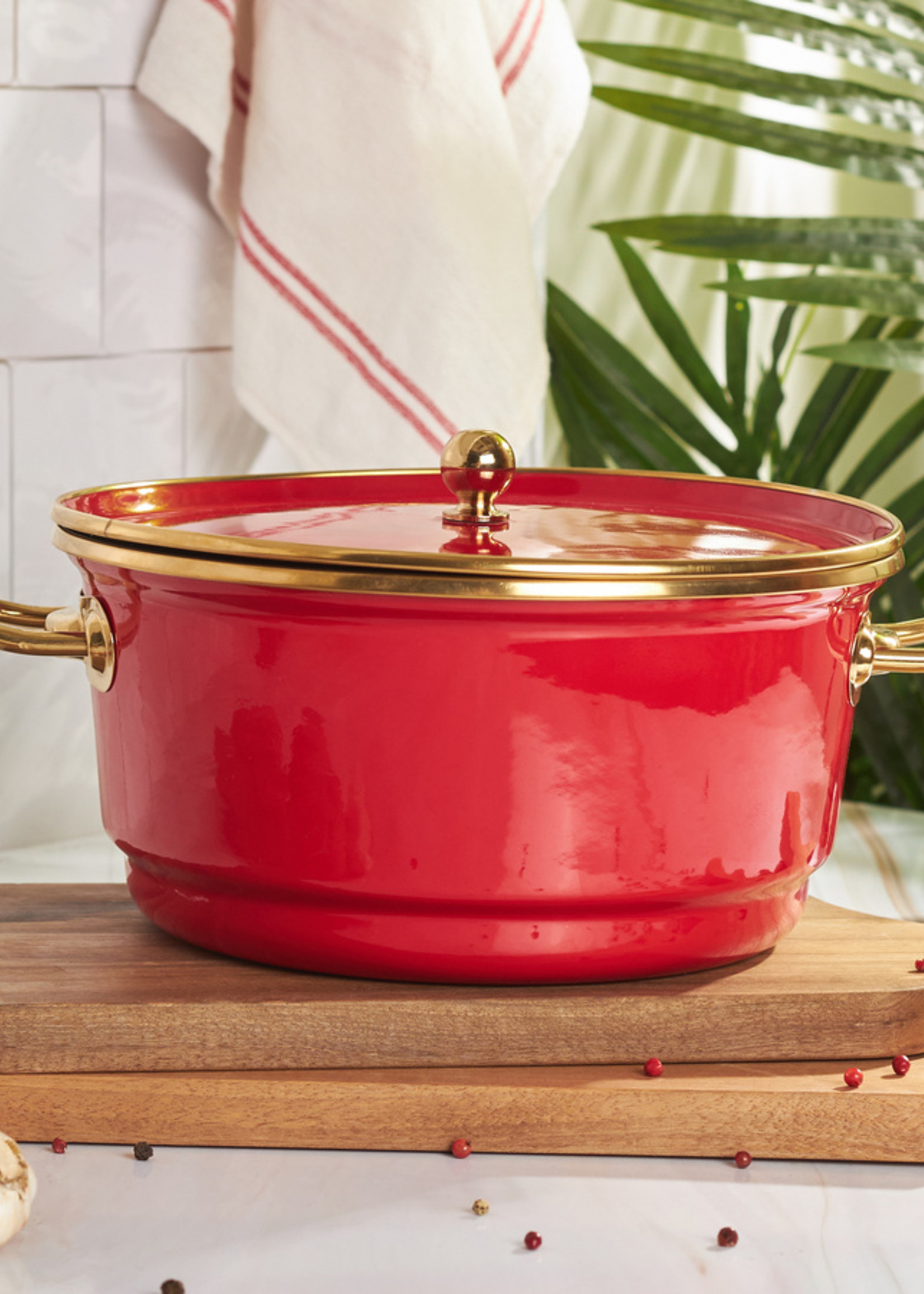 Karaca Troy Frying Pot Red 24 cm