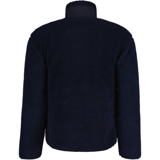 Icepeak Shirt Aspen Heren