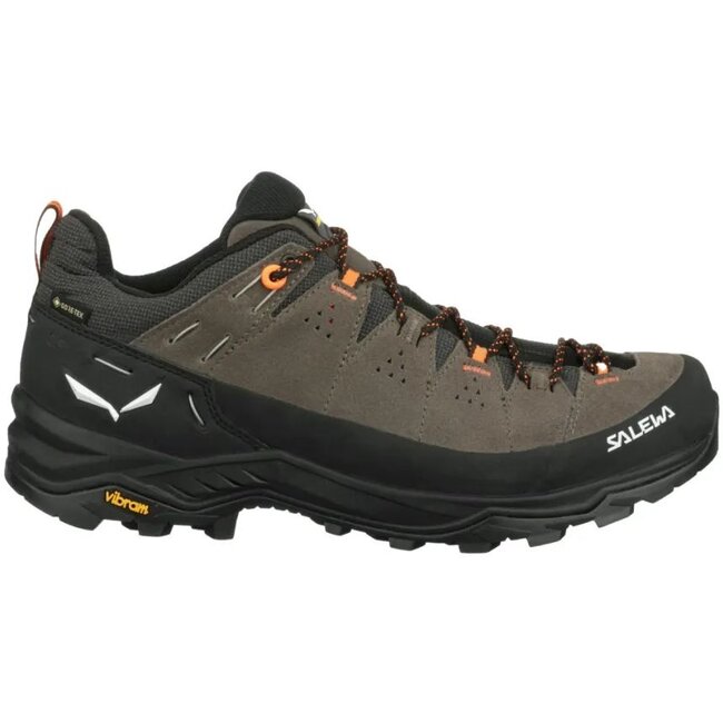 Salewa Alp Trainer 2 GTX Heren