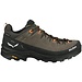 Salewa Salewa Alp Trainer 2 GTX Heren