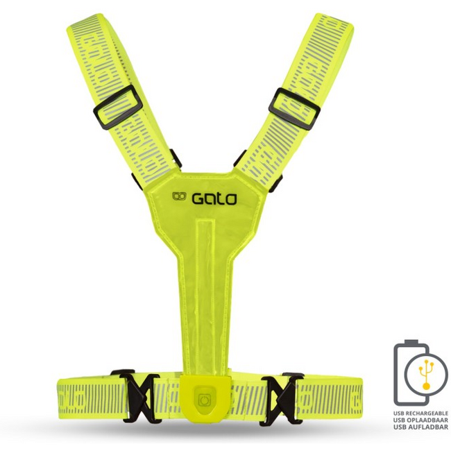 Gato International Hardloophesje met verlichting