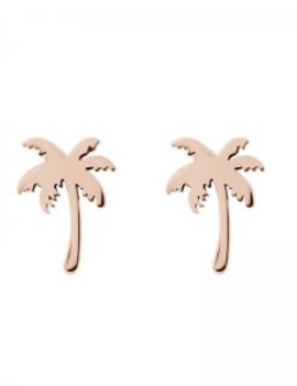 IXXXI Display paradis