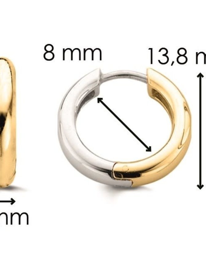 Ti Sento Boucles d'Oreilles Argent et Plaqué Or Ti Sento