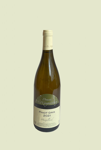 De Wijngaardsberg Pinot Gris 2022