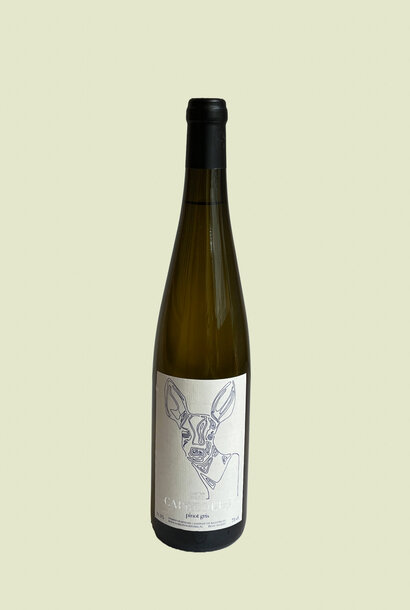 Domein Vroendael Capreolus Pinot Gris 2023