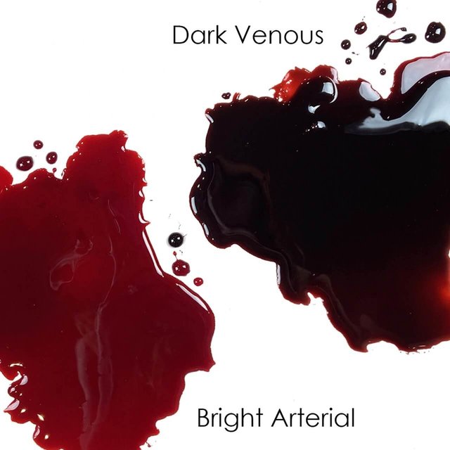Special Effect Make-up - Stage Blood Dark (nepbloed) Special Effect Make-up - Stage Blood Dark (nepbloed)