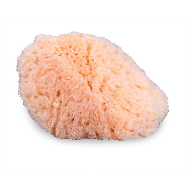 Natural Sea Sponge