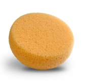 Foam Hydra Sponge
