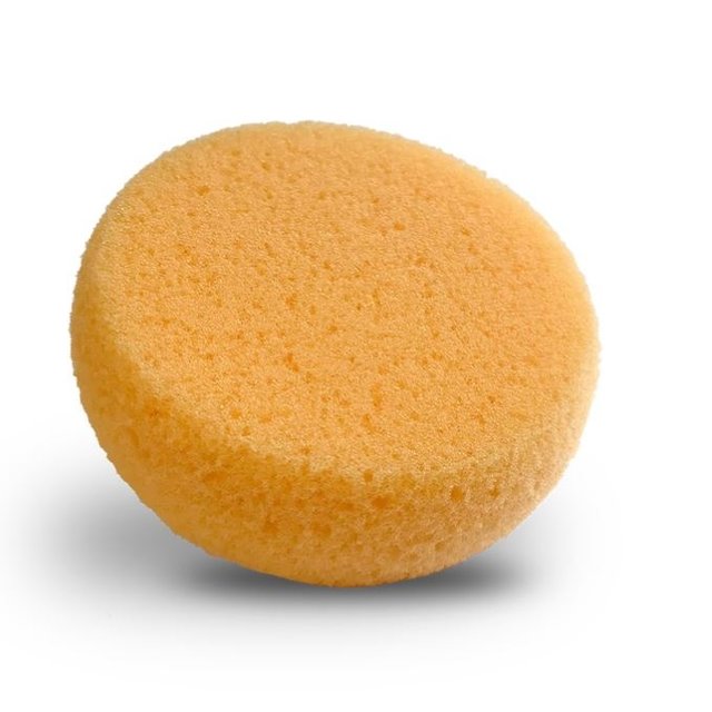 Foam Hydra Sponge