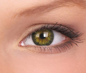 BigEyes Gorgeous Brown 14mm Colored Contact Lenses (3 months)