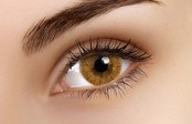 Basic Honey 14mm Fashion Colored Contact Lenses (3 months)